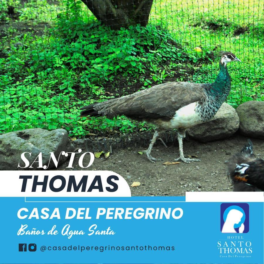 Casa Del Peregrino Santo Thomas Hotel Banos  Ngoại thất bức ảnh